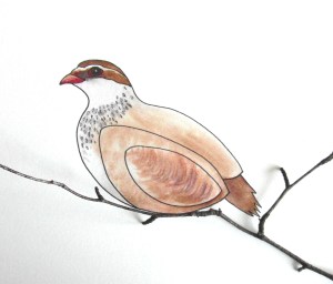 partridgepainting